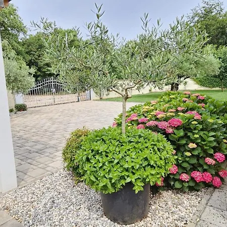 Villa Dora *